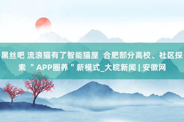 黑丝吧 流浪猫有了智能猫屋  合肥部分高校、社区探索 ＂APP圈养＂新模式_大皖新闻 | 安徽网