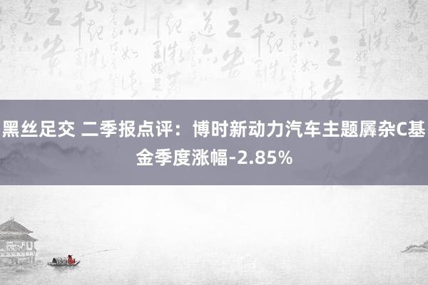 黑丝足交 二季报点评：博时新动力汽车主题羼杂C基金季度涨幅-2.85%