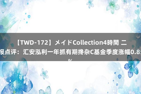 【TWD-172】メイドCollection4時間 二季报点评：汇安泓利一年抓有期搀杂C基金季度涨幅0.85%