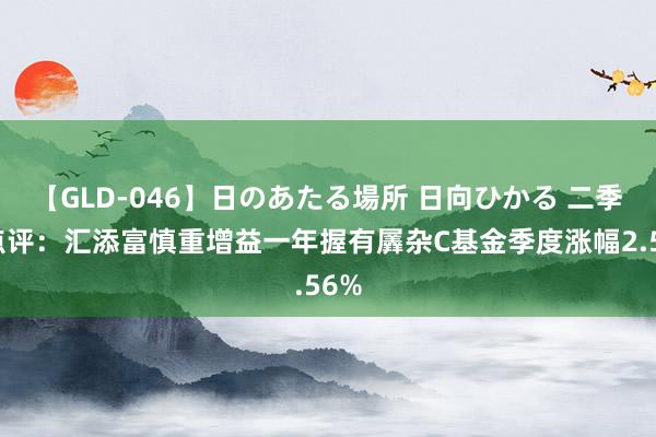 【GLD-046】日のあたる場所 日向ひかる 二季报点评：汇添富慎重增益一年握有羼杂C基金季度涨幅2.56%