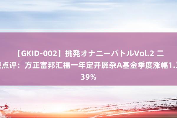 【GKID-002】挑発オナニーバトルVol.2 二季报点评：方正富邦汇福一年定开羼杂A基金季度涨幅1.39%