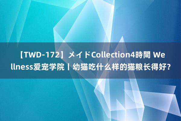 【TWD-172】メイドCollection4時間 Wellness爱宠学院丨幼猫吃什么样的猫粮长得好？