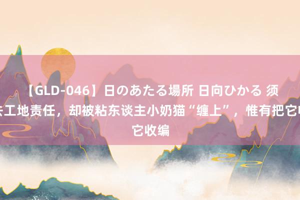 【GLD-046】日のあたる場所 日向ひかる 须眉去工地责任，却被粘东谈主小奶猫“缠上”，惟有把它收编