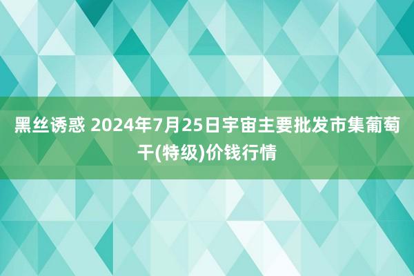 黑丝诱惑 2024年7月25日宇宙主要批发市集葡萄干(特级)价钱行情