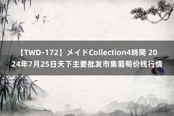 【TWD-172】メイドCollection4時間 2024年7月25日天下主要批发市集葡萄价钱行情