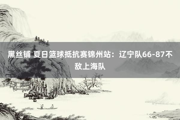 黑丝铺 夏日篮球抵抗赛锦州站：辽宁队66-87不敌上海队