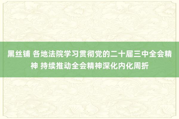 黑丝铺 各地法院学习贯彻党的二十届三中全会精神 持续推动全会精神深化内化周折