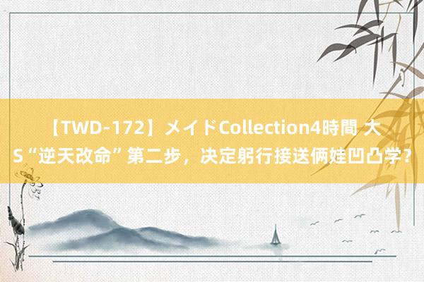 【TWD-172】メイドCollection4時間 大S“逆天改命”第二步，决定躬行接送俩娃凹凸学？