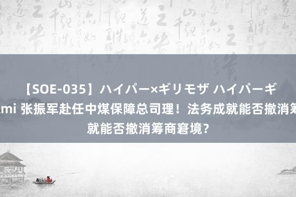 【SOE-035】ハイパー×ギリモザ ハイパーギリモザ Ami 张振军赴任中煤保障总司理！法务成就能否撤消筹商窘境？