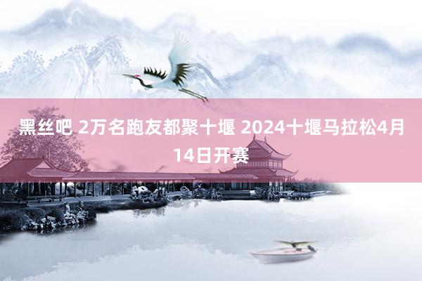 黑丝吧 2万名跑友都聚十堰 2024十堰马拉松4月14日开赛