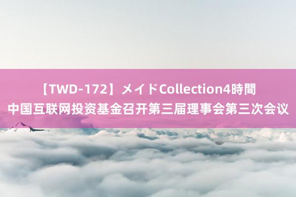 【TWD-172】メイドCollection4時間 中国互联网投资基金召开第三届理事会第三次会议