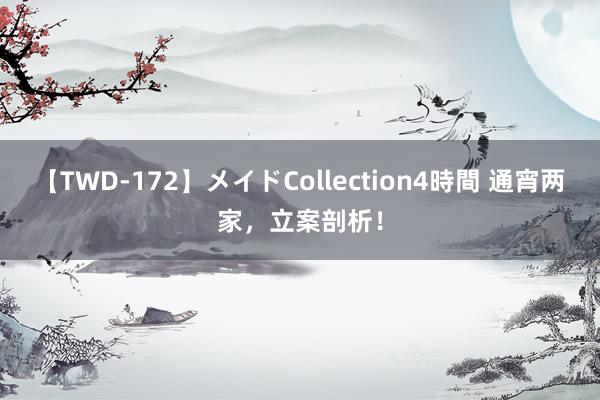 【TWD-172】メイドCollection4時間 通宵两家，立案剖析！