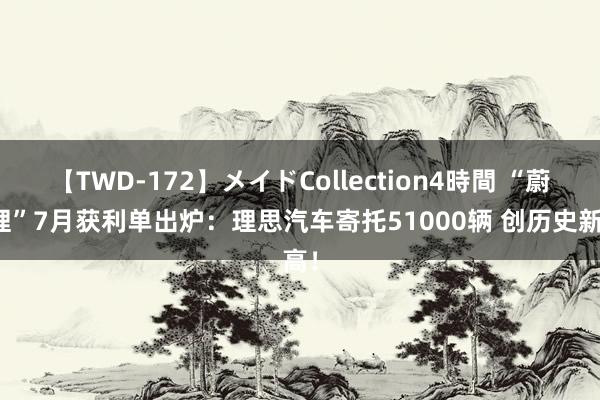 【TWD-172】メイドCollection4時間 “蔚小理”7月获利单出炉：理思汽车寄托51000辆 创历史新高！