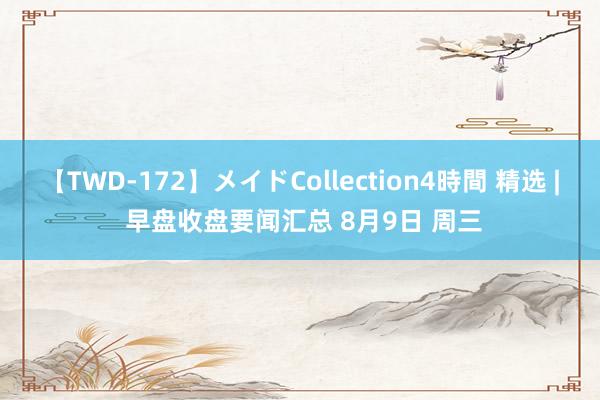 【TWD-172】メイドCollection4時間 精选 | 早盘收盘要闻汇总 8月9日 周三