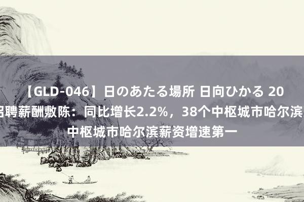 【GLD-046】日のあたる場所 日向ひかる 2024年一季度招聘薪酬敷陈：同比增长2.2%，38个中枢城市哈尔滨薪资增速第一