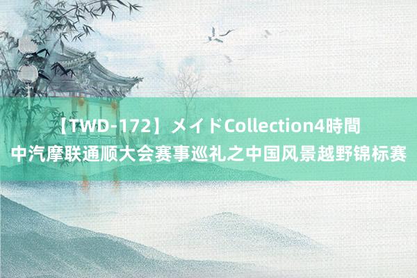 【TWD-172】メイドCollection4時間 中汽摩联通顺大会赛事巡礼之中国风景越野锦标赛