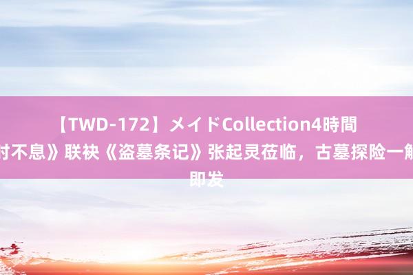 【TWD-172】メイドCollection4時間 《长时不息》联袂《盗墓条记》张起灵莅临，古墓探险一触即发