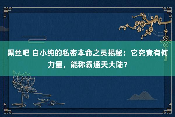 黑丝吧 白小纯的私密本命之灵揭秘：它究竟有何力量，能称霸通天大陆？