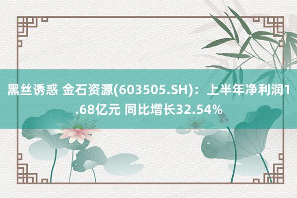 黑丝诱惑 金石资源(603505.SH)：上半年净利润1.68亿元 同比增长32.54%