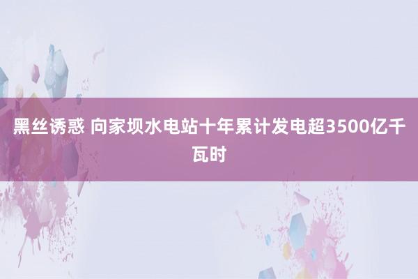 黑丝诱惑 向家坝水电站十年累计发电超3500亿千瓦时