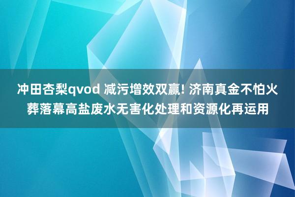 冲田杏梨qvod 减污增效双赢! 济南真金不怕火葬落幕高盐废水无害化处理和资源化再运用