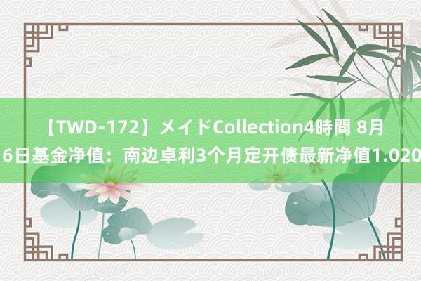 【TWD-172】メイドCollection4時間 8月16日基金净值：南边卓利3个月定开债最新净值1.0201