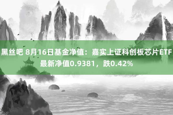 黑丝吧 8月16日基金净值：嘉实上证科创板芯片ETF最新净值0.9381，跌0.42%