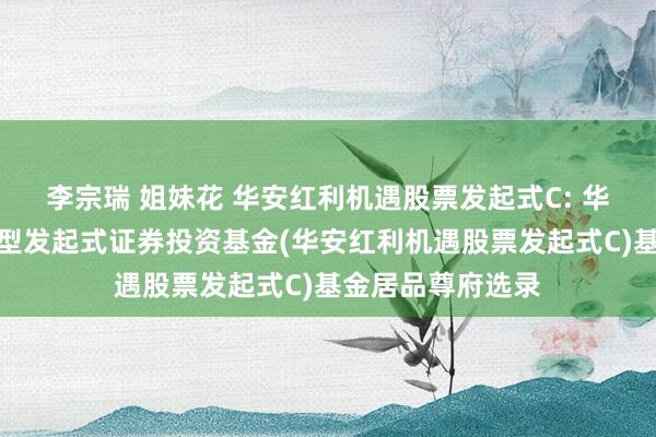 李宗瑞 姐妹花 华安红利机遇股票发起式C: 华安红利机遇股票型发起式证券投资基金(华安红利机遇股票发起式C)基金居品尊府选录