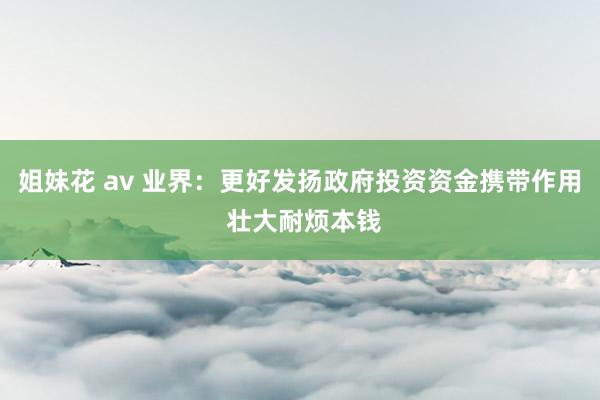 姐妹花 av 业界：更好发扬政府投资资金携带作用 壮大耐烦本钱