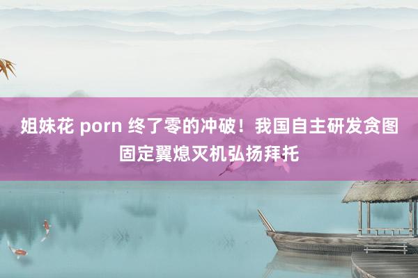 姐妹花 porn 终了零的冲破！我国自主研发贪图固定翼熄灭机弘扬拜托