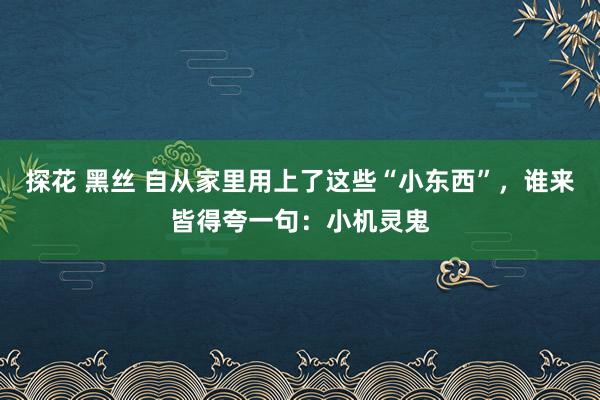 探花 黑丝 自从家里用上了这些“小东西”，谁来皆得夸一句：小机灵鬼