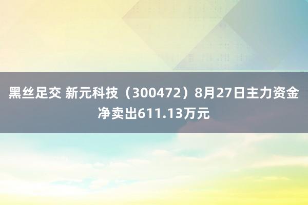 黑丝足交 新元科技（300472）8月27日主力资金净卖出611.13万元