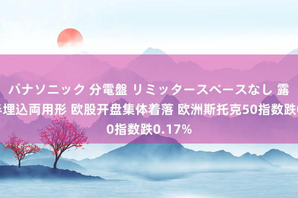 パナソニック 分電盤 リミッタースペースなし 露出・半埋込両用形 欧股开盘集体着落 欧洲斯托克50指数跌0.17%