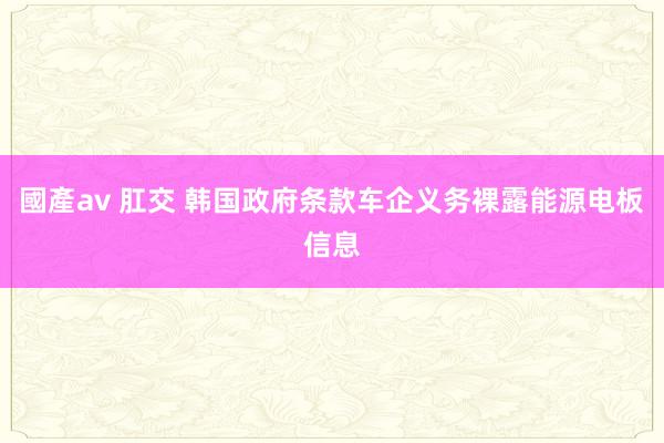 國產av 肛交 韩国政府条款车企义务裸露能源电板信息