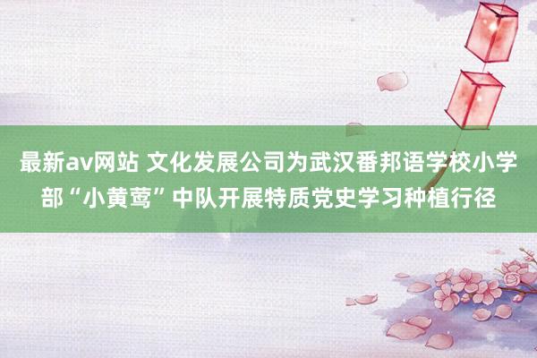 最新av网站 文化发展公司为武汉番邦语学校小学部“小黄莺”中队开展特质党史学习种植行径