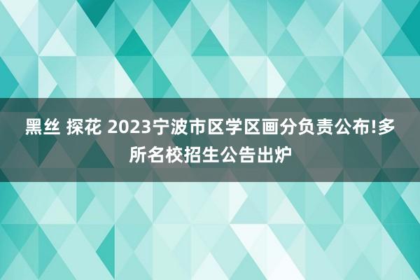 黑丝 探花 2023宁波市区学区画分负责公布!多所名校招生公告出炉