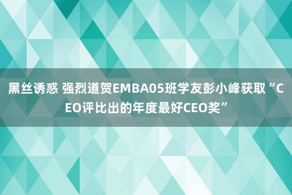 黑丝诱惑 强烈道贺EMBA05班学友彭小峰获取“CEO评比出的年度最好CEO奖”