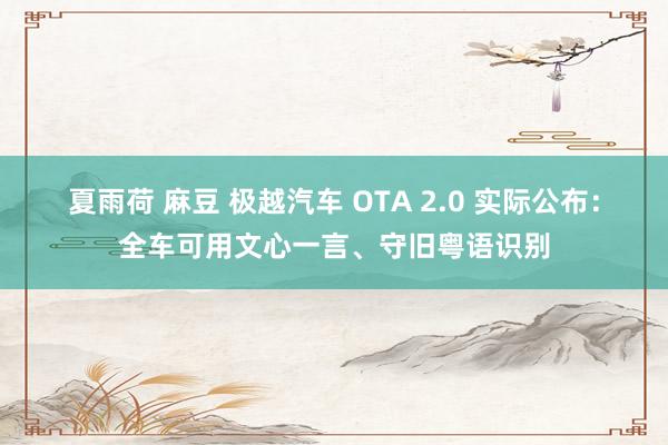 夏雨荷 麻豆 极越汽车 OTA 2.0 实际公布：全车可用文心一言、守旧粤语识别