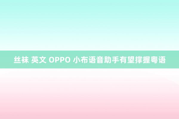 丝袜 英文 OPPO 小布语音助手有望撑握粤语